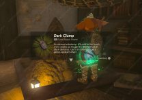 Dark Clump Zelda Tears of the Kingdom