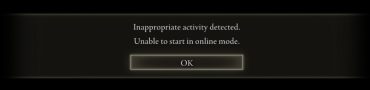 Elden Ring Inappropriate Activity Detected Fix