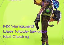 Fix Vanguard User Mode Service Not Closing