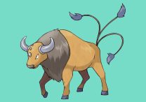 How to Get Tauros Pokemon GO 2023