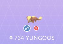 shiny yungoos pokemon go yungoos spotlight hour