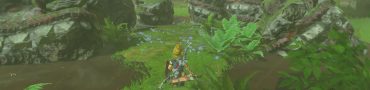 totk six dragons zelda bug fix display power of sage of water