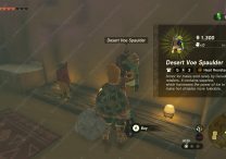 Zelda Tears of the Kingdom Heat Resistance Armor