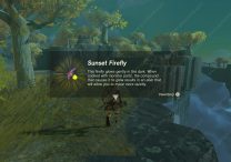 Zelda TOTK Sunset Firefly Farming Locations